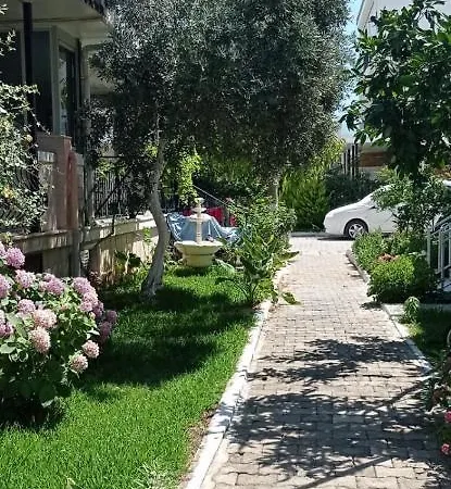 Sevgi Plajinda Mustakil *