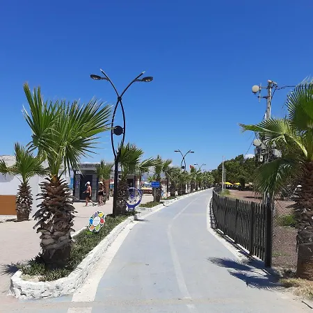 Sevgi Plajinda Mustakil *